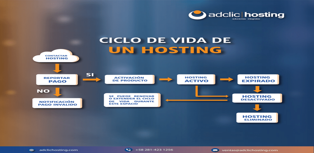 como funciona el hosting