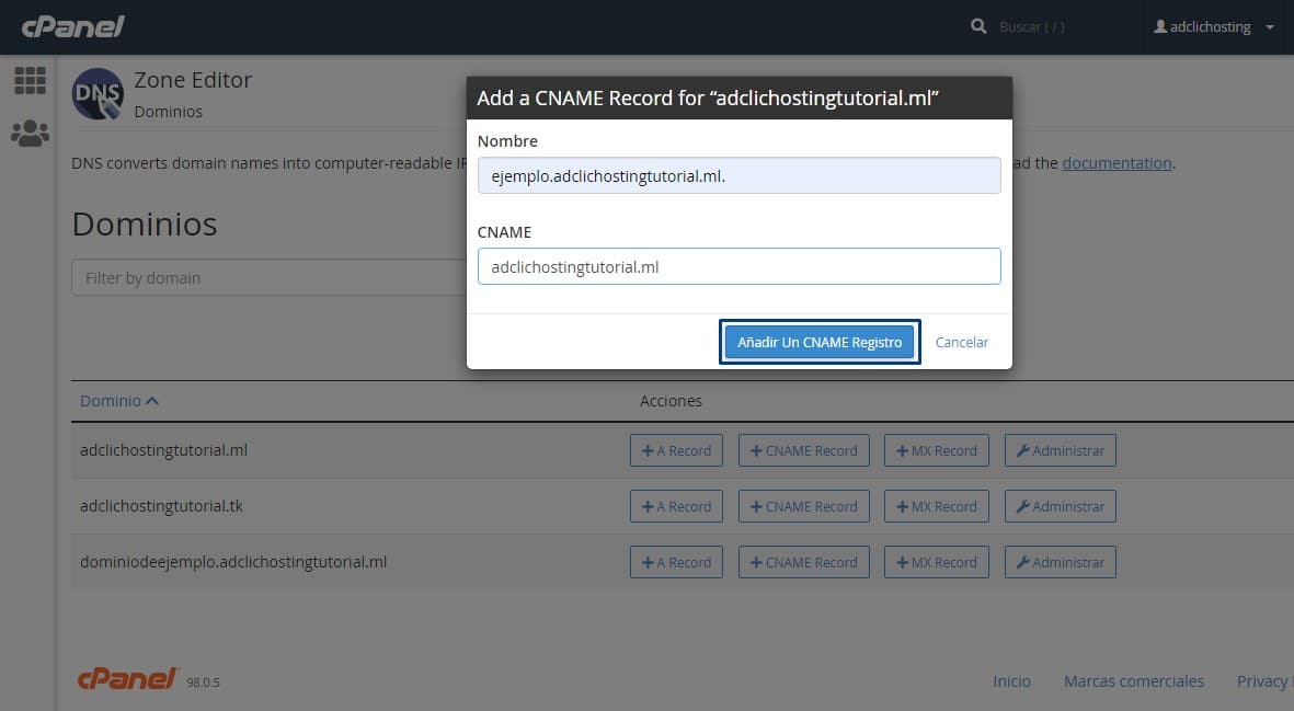 editor de zona dns avanzado cpanel