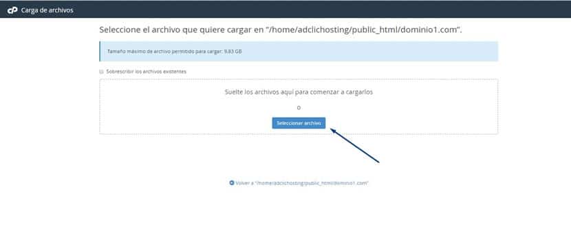 Subir sitio web