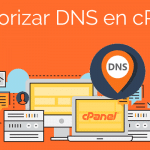 Monitorizar DNS en cPanel
