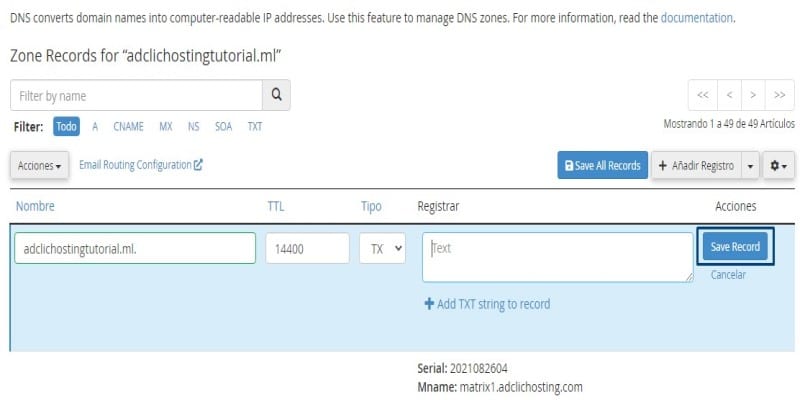 Añadir un registro TXT a una Zona DNS: