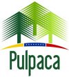 LogoPulpaca